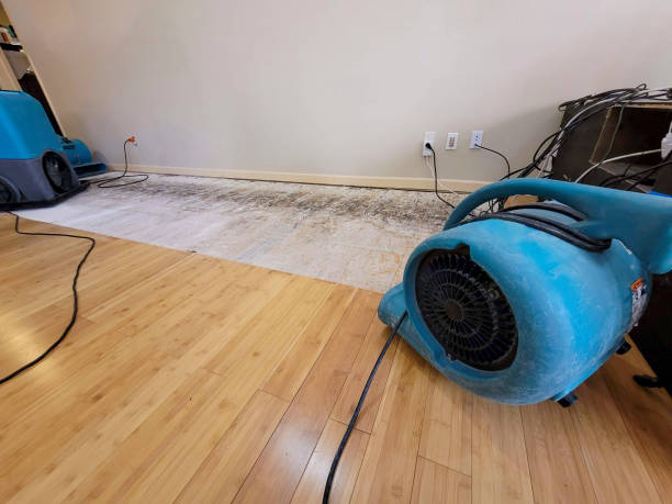Professional Emergency Water Damage technician working in Gordo, AL